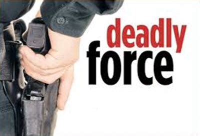 Exploring a “Necessary Standard” for the Use of Excessive, Deadly Force by Law Enforcement: A ...