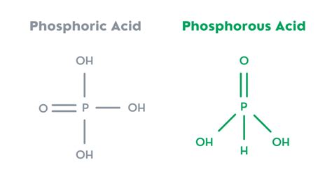 Phosphorous Acid - True North Foliar