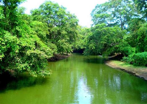 12 Major Rivers of Sri Lanka