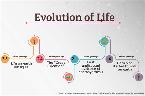 How to Use Timeline Infographics + Templates to Download