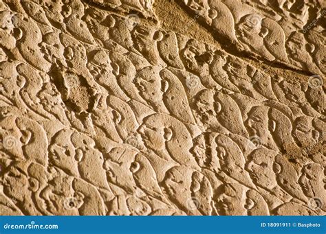 Ancient Egyptian Army, Kadesh Stock Image - Image of heads, faces: 18091911