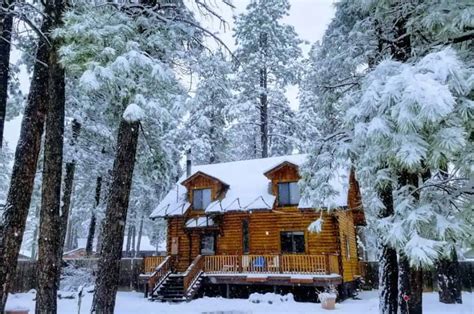 9 Beautiful Pet-Friendly Cabins in Flagstaff, Arizona - Doggy Check In