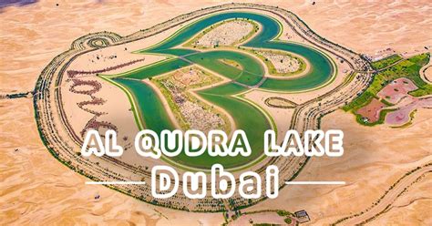 Love lake al qudra Archives - Go Dubai Desert Safari