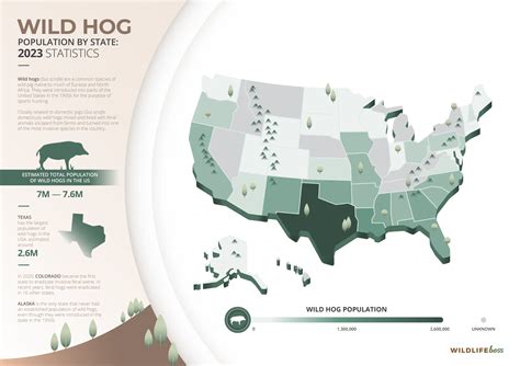 Wild Hog Population By State: 2023 Trends [Statistics]