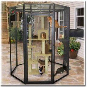 Indoor Cat Cages Enclosures - Foter