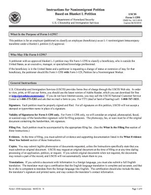 DHS I-129S Instructions 2013 - Fill and Sign Printable Template Online