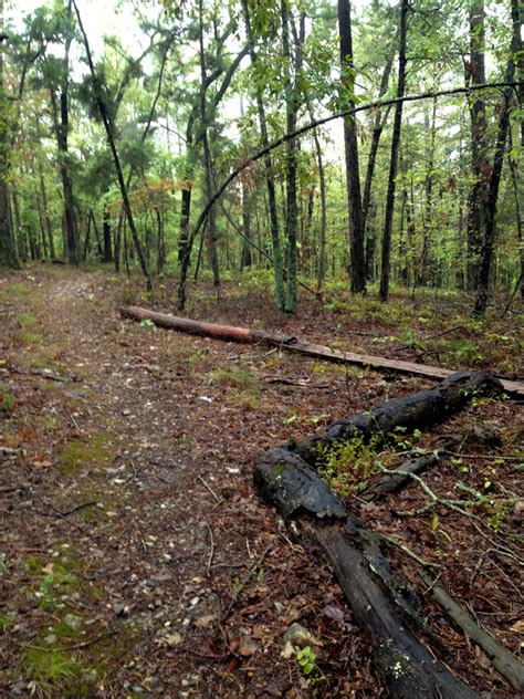 Hobbs State Park - Member Hike | YourHikes