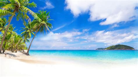 isle, shore, holidays, palm, clouds, sea, palm trees, beach, tropic ...