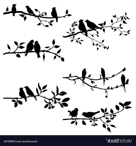 Silhouette of birds on branch ... | Bird silhouette art, Bird on branch, Bird branch tattoo