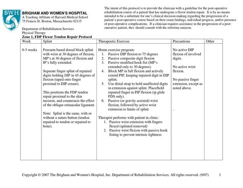 Zone 1, FDP Flexor Tendon Repair Protocol by Kinesiologia Chile - Issuu