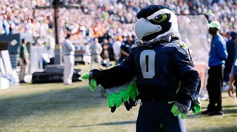 Blitz... Seahawks mascots - | Seahawks mascot, Seattle seahawks, Seahawks