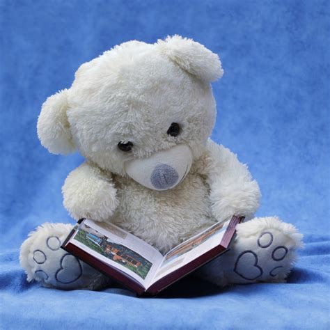 white teddy bear plush toy reading book free image | Peakpx