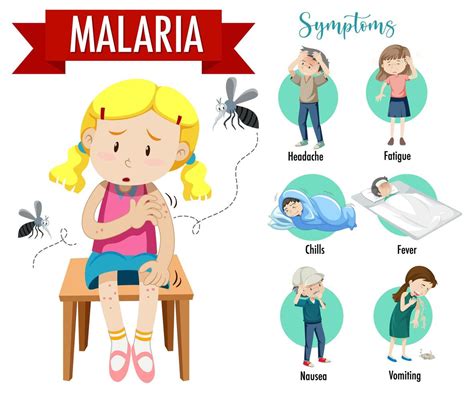 Malaria symptom information infographic 1520252 Vector Art at Vecteezy