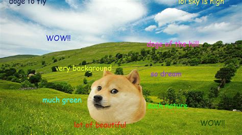 Doge Meme Wallpaper - WallpaperSafari