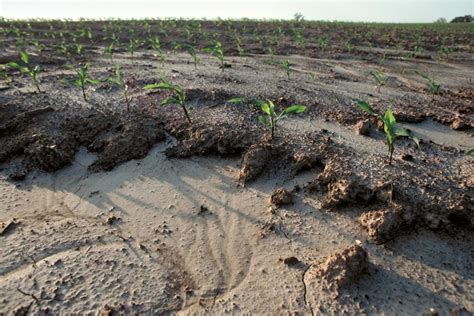 Impact Of Soil Erosion On Agriculture - The Agrotech Daily