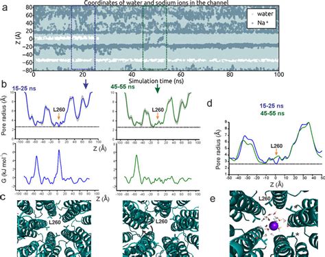 Molecular dynamics simulations of state 1 a, Trajectories of water and... | Download Scientific ...