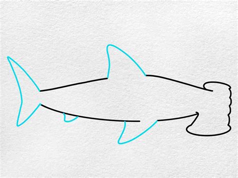 How to Draw a Hammerhead Shark - HelloArtsy
