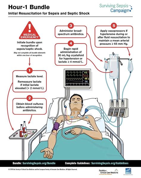 Septic Shock - Homecare24