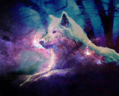 🔥 [50+] Galaxy Wolf Wallpapers | WallpaperSafari