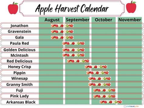 A cool guide about when some apple varieties are harvesters : r/coolguides