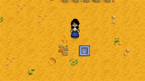 9 Amazing Ways To Use Paths in Stardew Valley - Stardew | Guide