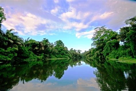 Rainforest tours in Costa Rica: Veragua Rainforest & Tortuguero Canals – Enchanting Costa Rica