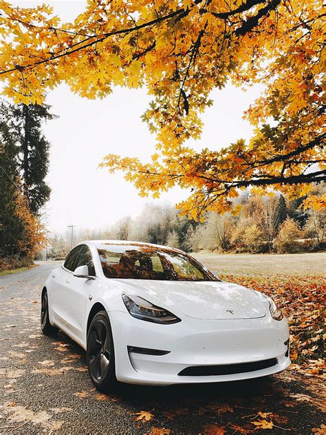 Car, sports car, white, autumn, HD phone wallpaper | Peakpx