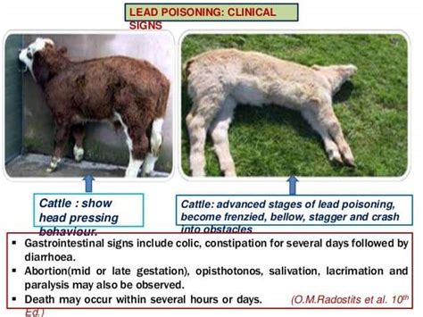 TREATMENT/ HANDLING THE CASES OF POISONING IN PETS & FARM ANIMALS | Pashudhan praharee