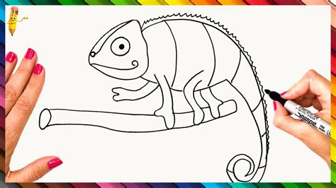 How To Draw A Chameleon Step By Step - Chameleon Drawing Easy - YouTube