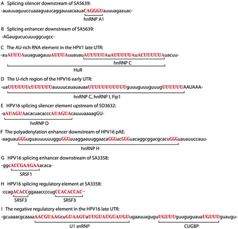 Biomolecules | Special Issue : RNA-Binding Proteins—Structure, Function, Networks and Disease