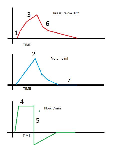 Mechanical Ventilation- Pressure/Volume/Flow loops - Critical Care ...