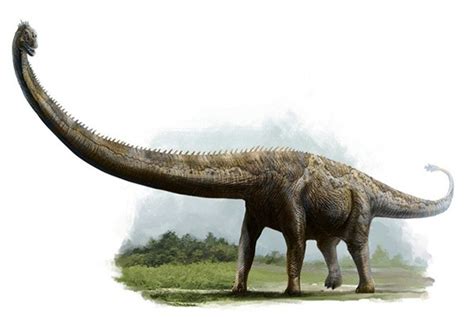 Argentinosaurus Facts, Habitat, Diet, Fossils, Pictures