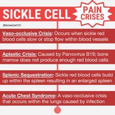 15 Sickle Cell Health ideas | sickle cell, sickle, sickle cell disease