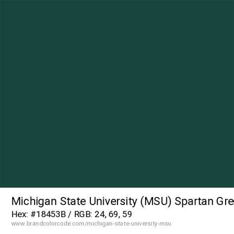 Michigan State University (MSU) Brand Color Codes » BrandColorCode.com