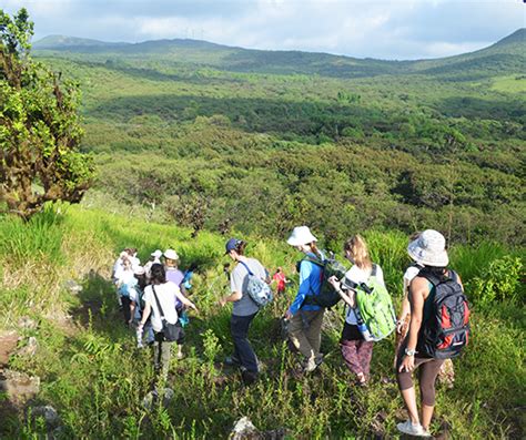 Galapagos Islands Ecology & Conservation - Student Expeditions