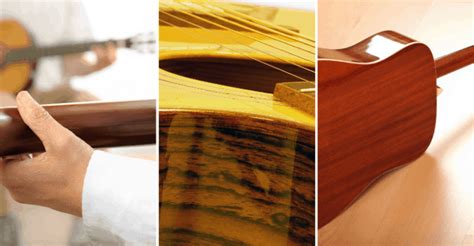 Guitar Tonewoods Guide - Know Your Ash from Your Alder