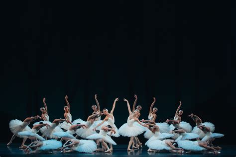 The Australian Ballet: Swan Lake review [2023] – Man in Chair