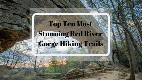 10 Best Hikes in Red River Gorge Hiking Trails | Red river gorge, Red ...