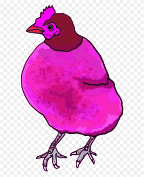 Chicken Hen Vector Clip Art Image - Poultry Clipart - FlyClipart