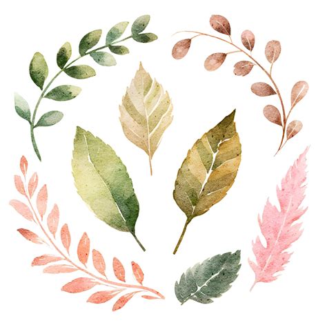 Watercolor leaves illustration elements set | Premium AI-generated vector