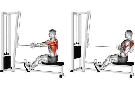 Cable Row: How To Do, Form, Variations and Benefits