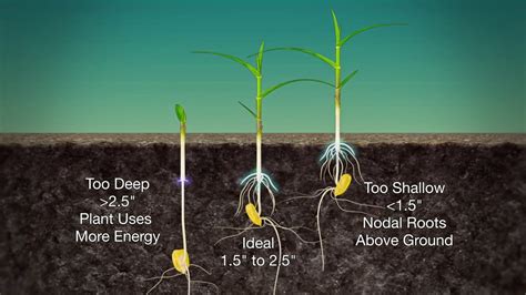 Corn Planting Depth #989 (Air Date 3-19-17) - YouTube