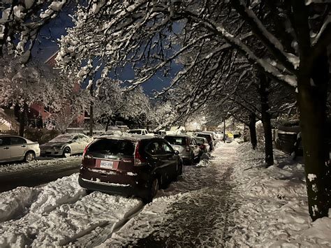 STORM CENTRE: Lower Mainland cleans up after snowstorm