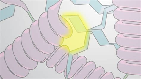 Protein Folding: Hydrogen Bonds, Van der Waals Interactions ...