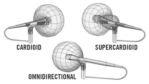 Cardioid vs Supercardioid Mic: The Key Differences Explained