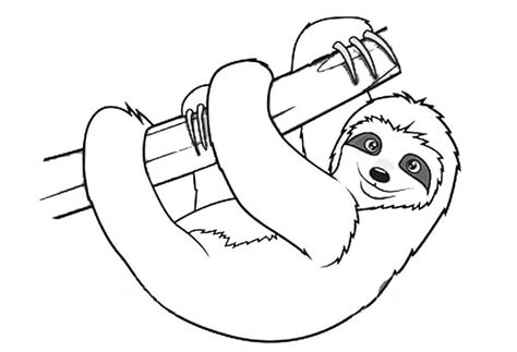 Sloth Coloring Pages - Fun and Creative Activities for Kids