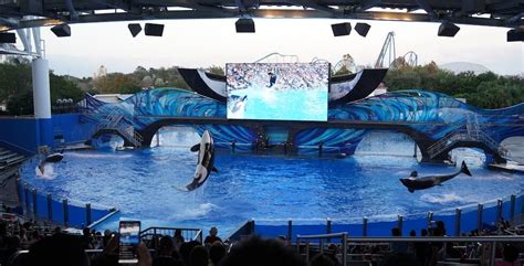 Guest Editorial: SeaWorld’s ‘Orca Encounter’ is the show they needed