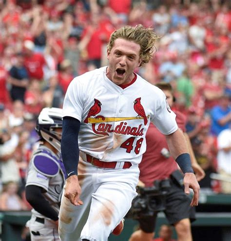 Harrison Bader after crossing home plate | St louis baseball, Cardinals baseball, St louis cardinals