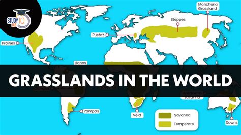 Grasslands in the World, Map, Types, Food Chain in Grassland