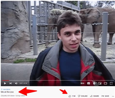 Jawed Karim Net Worth 2024: Lessons from YouTube Founder